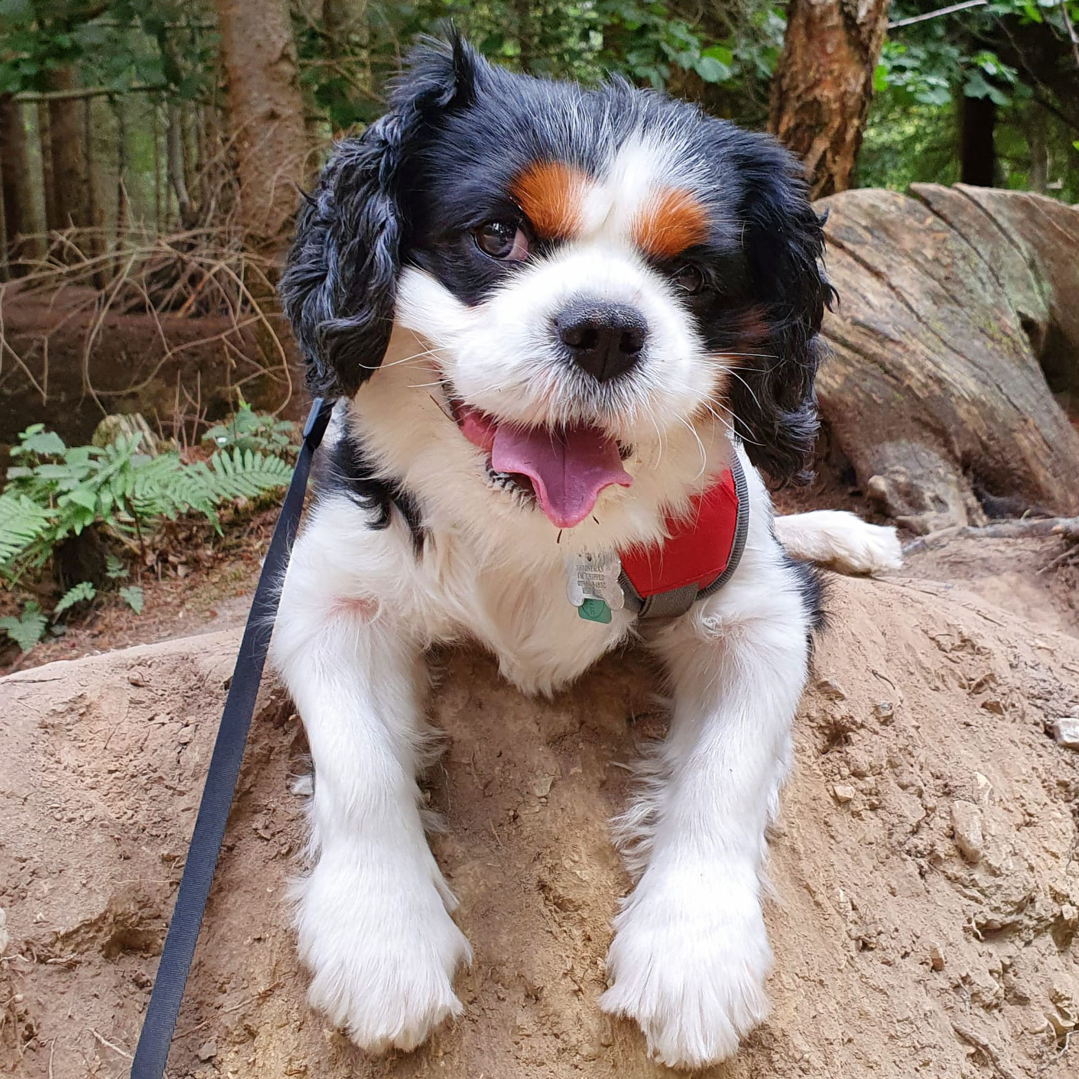 2024_2025 - Murphy - 24.jpg